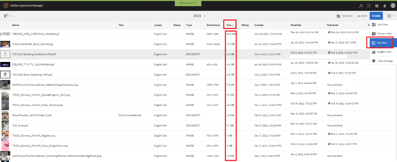 DAM folder displaying items in list view and and sorted by file size